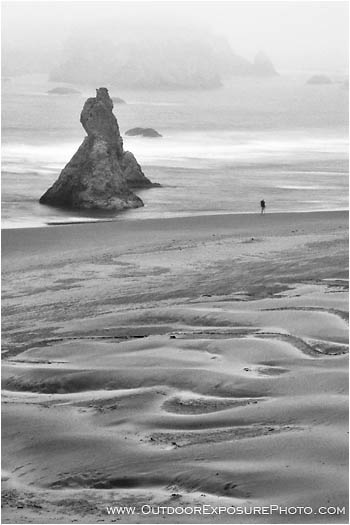 Alone On The Beach Stock Image, Bandon, Oregon Alone On The Beach Stock Image, Bandon, Oregon
