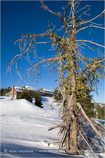 Crater Lake Lodge 1 Stock Image, Oregon Crater Lake Lodge 1 Stock Image, Oregon