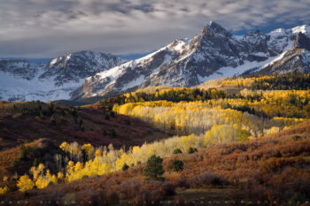 Dallas Divide Aspen Print, Uncompahgre National Forest, Colorado Dallas Divide Aspen Print, Uncompahgre National Forest, Colorado