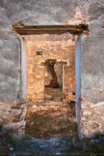 Mineral de Pozos Doorways 1 Print, Mineral de Pozos, Mexico Mineral de Pozos Doorways 1 Print, Mineral de Pozos, Mexico
