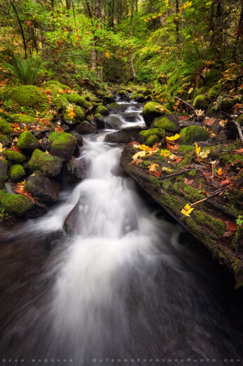 Starvation Creek Print, Columbia Gorge, Oregon Starvation Creek Print, Columbia Gorge, Oregon