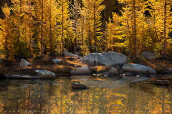 Ablaze Print, Enchantments, Washington Ablaze Print, Enchantments, Washington