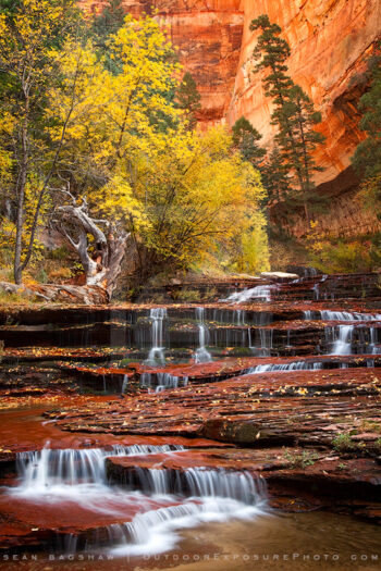 Arch Angel Falls Print, Zion, Utah Arch Angel Falls Print, Zion, Utah