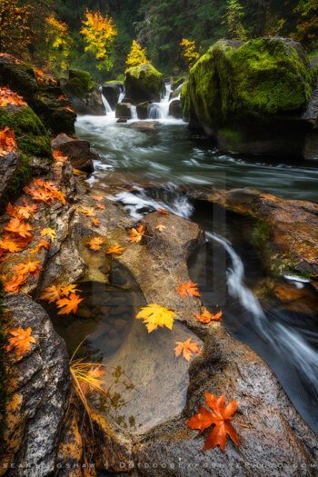 Battaile Falls Print, Little River, Oregon Battaile Falls Print, Little River, Oregon