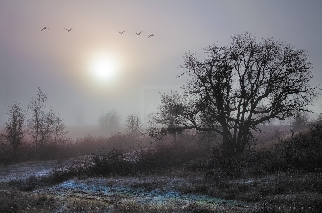 Emigrant Dawn Print, Ashland, Oregon Emigrant Dawn Print, Ashland, Oregon
