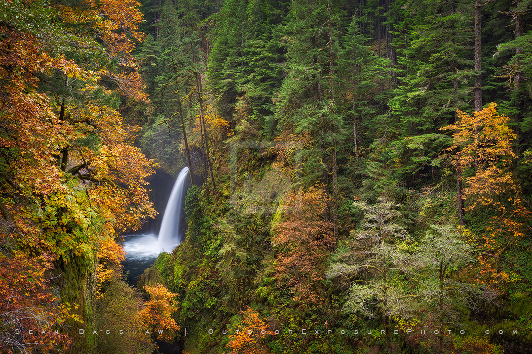 Metlako Falls In Autumn Print, Columbia River Gorge, Oregon Metlako Falls In Autumn Print, Columbia River Gorge, Oregon