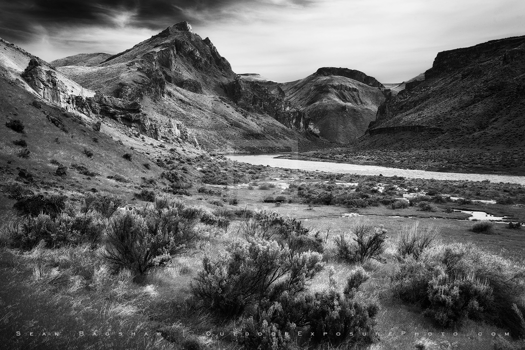 Owyhee Sage Print, Owyhee River, Oregon Owyhee Sage Print, Owyhee River, Oregon