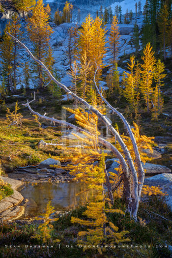 Generations Print, Enchantments, Washington Generations Print, Enchantments, Washington