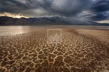Tattered And Swift Print, Alvord Desert, Oregon Tattered And Swift Print, Alvord Desert, Oregon
