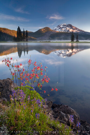 Sparks Lake Columbine Print, Bend, Oregon Sparks Lake Columbine Print, Bend, Oregon