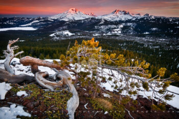 Touch of Light Print, Cascade Range, Oregon Touch of Light Print, Cascade Range, Oregon