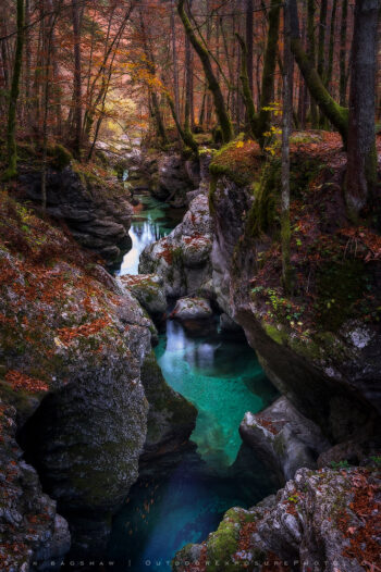 Bronze and Turquoise Print, Slovenia Bronze and Turquoise Print, Slovenia