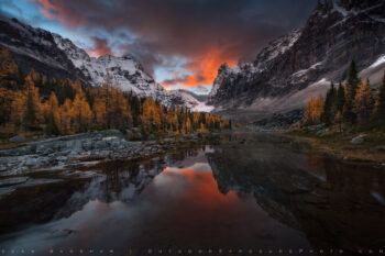 Gold Rush Print, Rocky Mountains, Canada Gold Rush Print, Rocky Mountains, Canada