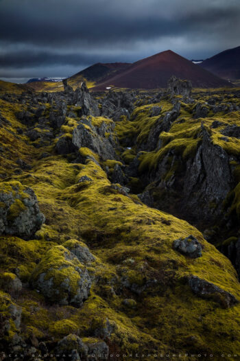 Lava and Moss Print, Iceland Lava and Moss Print, Iceland