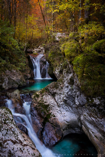 Shunikov’s Water Bowl Print, Slovenia Shunikov’s Water Bowl Print, Slovenia