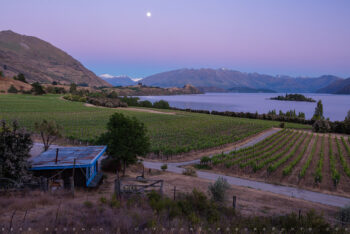 lake and vineyard stock image, wanaka, new zealand lake and vineyard stock image, wanaka, new zealand