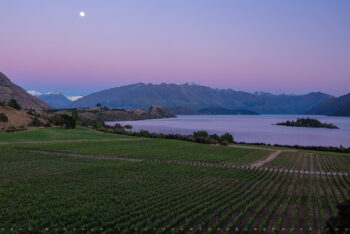lake and vineyard 2 stock image, wanaka, new zealand lake and vineyard 2 stock image, wanaka, new zealand