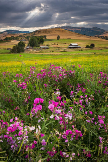 spring beneath grizzly peak, ashland, oregon spring beneath grizzly peak, ashland, oregon