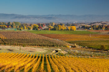 fall stock image, rogue valley, oregon fall stock image, rogue valley, oregon