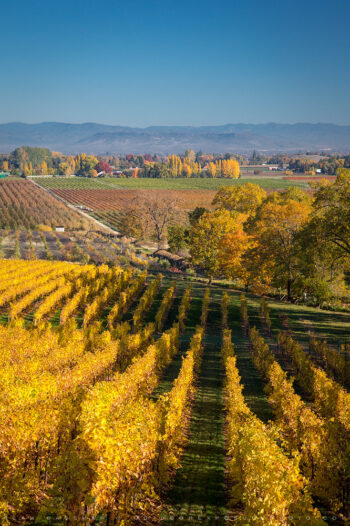 fall 2 stock image, rogue valley, oregon fall 2 stock image, rogue valley, oregon
