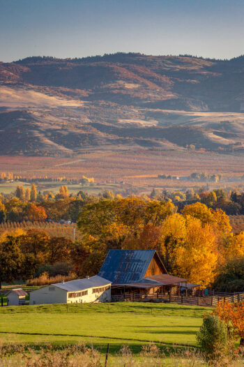 fall 3 stock image, rogue valley, oregon fall 3 stock image, rogue valley, oregon