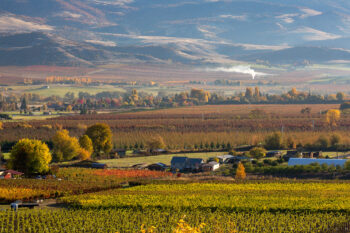 fall 4 stock image, rogue valley, oregon fall 4 stock image, rogue valley, oregon