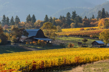 fall 6 stock image, rogue valley, oregon fall 6 stock image, rogue valley, oregon