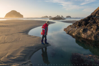 beach stock image, bandon, oregon beach stock image, bandon, oregon