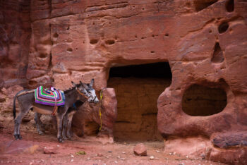 spot of color stock image, petra, jordan spot of color stock image, petra, jordan