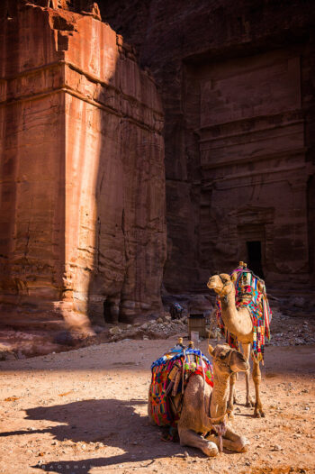 colorful transport stock image, petra, jordan colorful transport stock image, petra, jordan