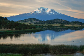 mount shasta 3 stock image, trout lake, california mount shasta 3 stock image, trout lake, california
