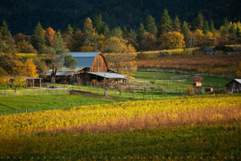 barn stock image, rogue valley, oregon barn stock image, rogue valley, oregon