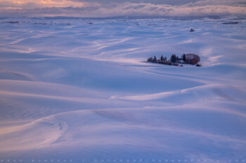 Palouse in Winter 1 Stock Image, Palouse Region, Washington Palouse in Winter 1 Stock Image, Palouse Region, Washington
