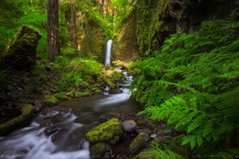 remembering ruckle creek stock image, columbia river gorge, oregon remembering ruckle creek stock image, columbia river gorge, oregon