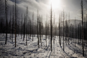 Kettle Mountain Fire Stock Image, Washington Kettle Mountain Fire Stock Image, Washington