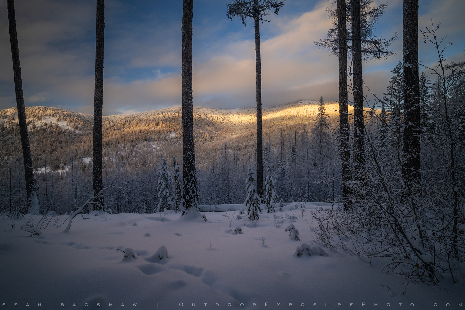 Kettle Mountains in Winter Stock Image, Washington Kettle Mountains in Winter Stock Image, Washington