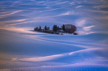 Palouse in Winter 2 Stock Image, Palouse Region, Washington Palouse in Winter 2 Stock Image, Palouse Region, Washington