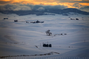 Palouse in Winter 3 Stock Image, Palouse Region, Washington Palouse in Winter 3 Stock Image, Palouse Region, Washington