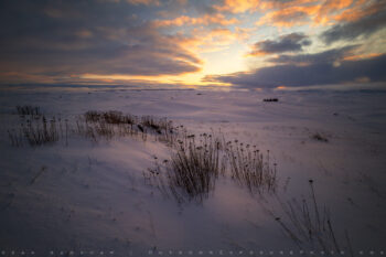 Winter Expanse Stock Image, Palouse Region, Washington Winter Expanse Stock Image, Palouse Region, Washington