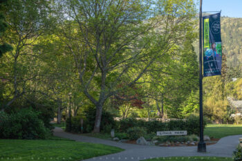 Lithia Park in Spring 2 Stock Image, Ashland, Oregon