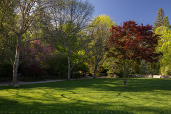 Lithia Park in Spring Stock Image, Ashland, Oregon