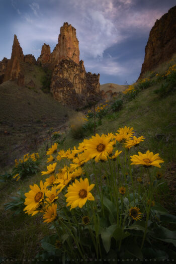 Towers and Flowers Print, Oregon Towers and Flowers Print, Oregon