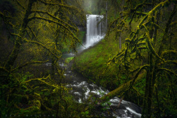 Silver Spring Print, Oregon Silver Spring Print, Oregon